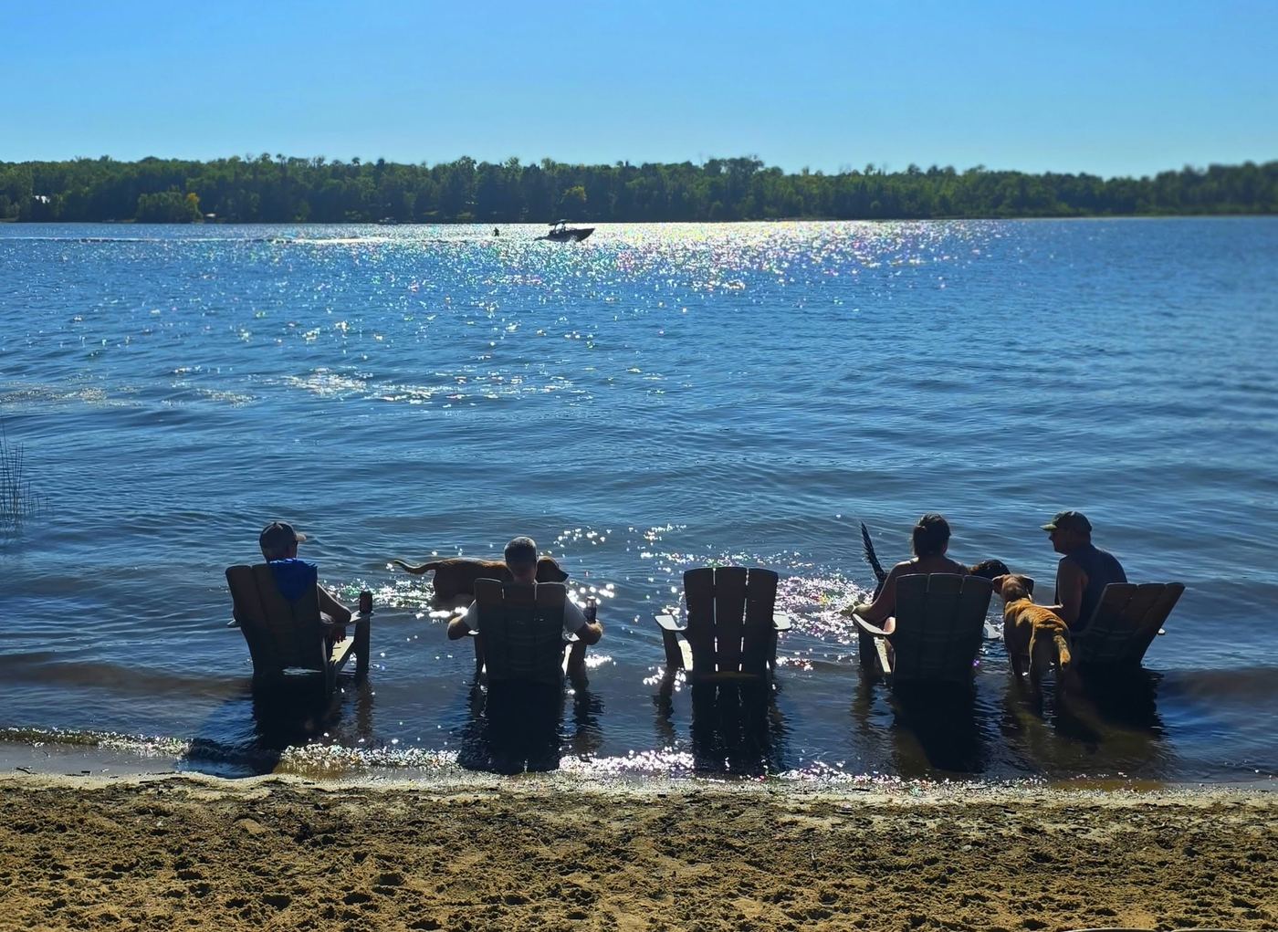 Friends in Adirondack chairs set in the shallow water of a sunny Minnesota lake